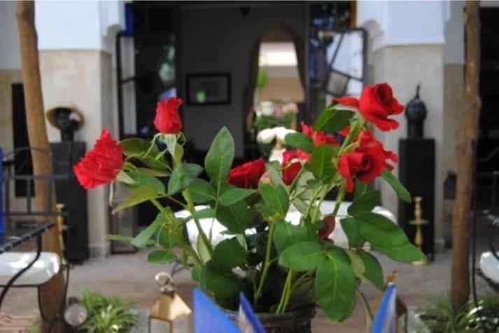 Riad Green Lotus Marrakesh Bagian luar foto