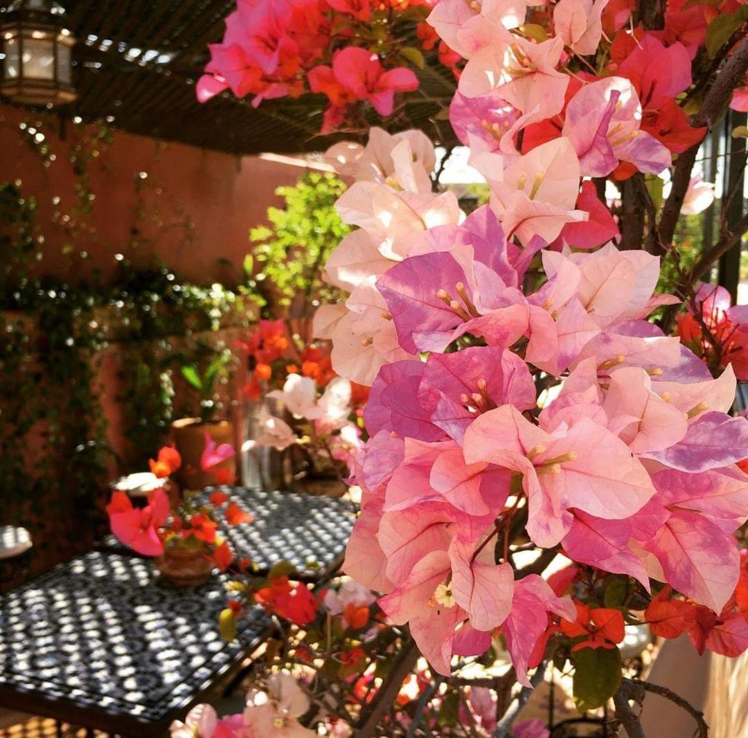 Riad Green Lotus Marrakesh Bagian luar foto